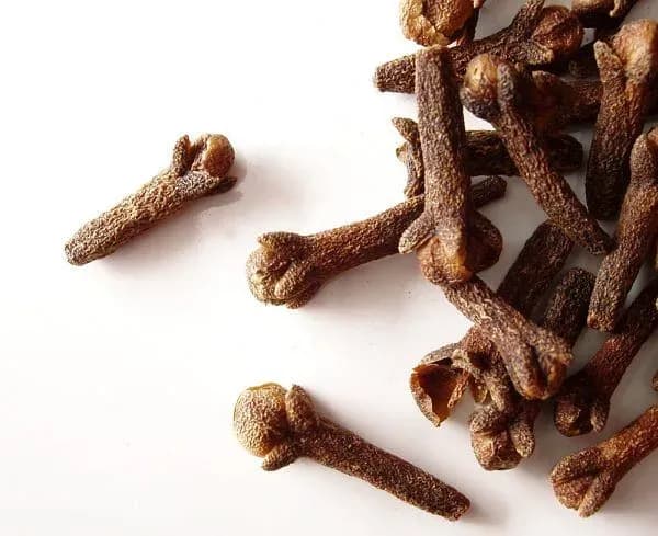 Jak rosną goździki przyprawa - kluczowe etapy i tajemnice uprawy