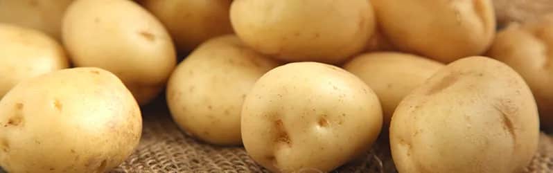 Co do ziemniaków na obiad? 10 pysznych przepisów, które zaskoczą